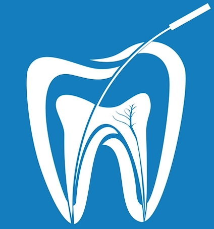 cincinnati endodontist